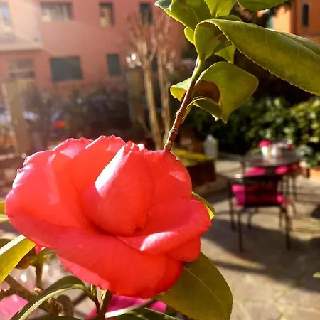 Arcoveggio Hotel